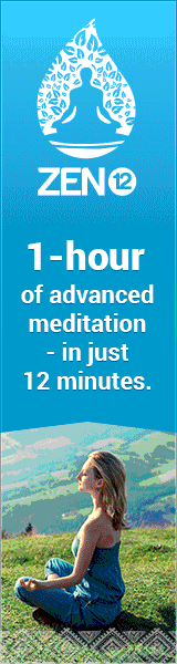 Zen 12 Meditation banner