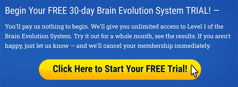 Brain Evolution System banner