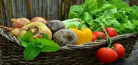 Is it ok To eat after meditating? Basket full of vegetables