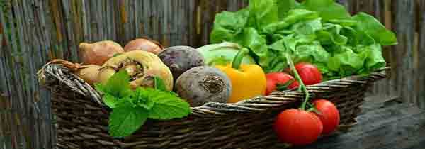 Is it ok To eat after meditating? Basket full of vegetables