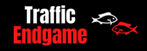 Traffic Endgame Review: (Getting Quality Traffic Is Easier Than You Think)