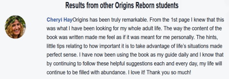 origins Reborn User review